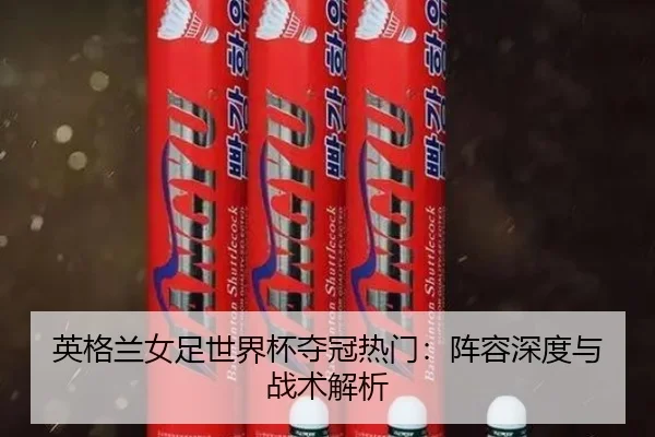 ying-ge-lan-nv-zu-shi-jie-bei-duo-guan-re-men-zhen-rong-shen-du-yu-zhan-shu-jie-xi-3-167.jpg