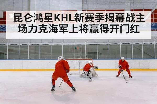 ice hockey goal